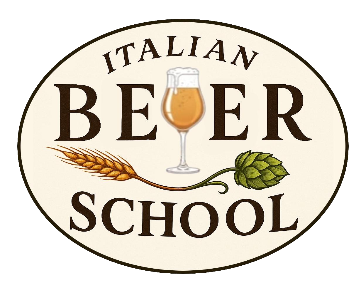 Logo IBS